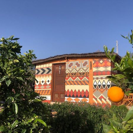 Afrikan Krisant Tenerife, Casa Rural Ecologica Arafo Exterior foto
