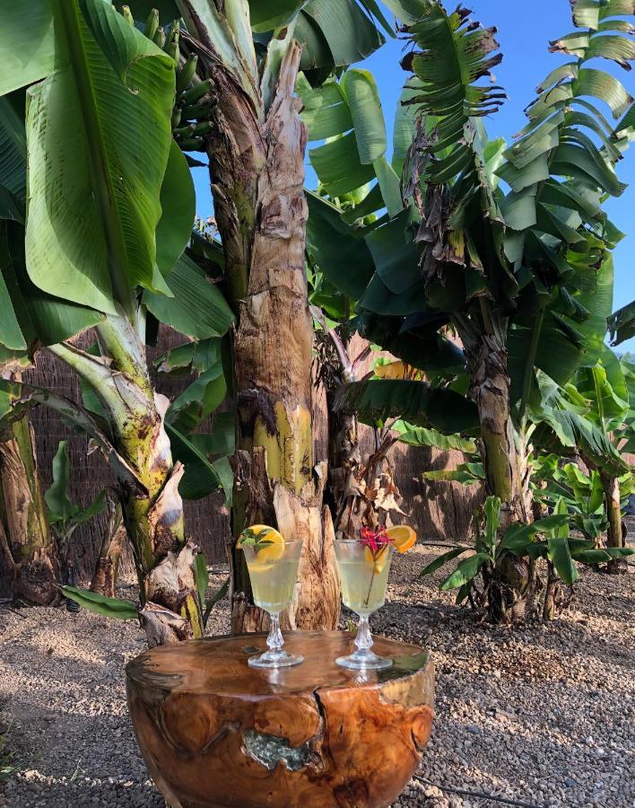 Afrikan Krisant Tenerife, Casa Rural Ecologica Arafo Exterior foto