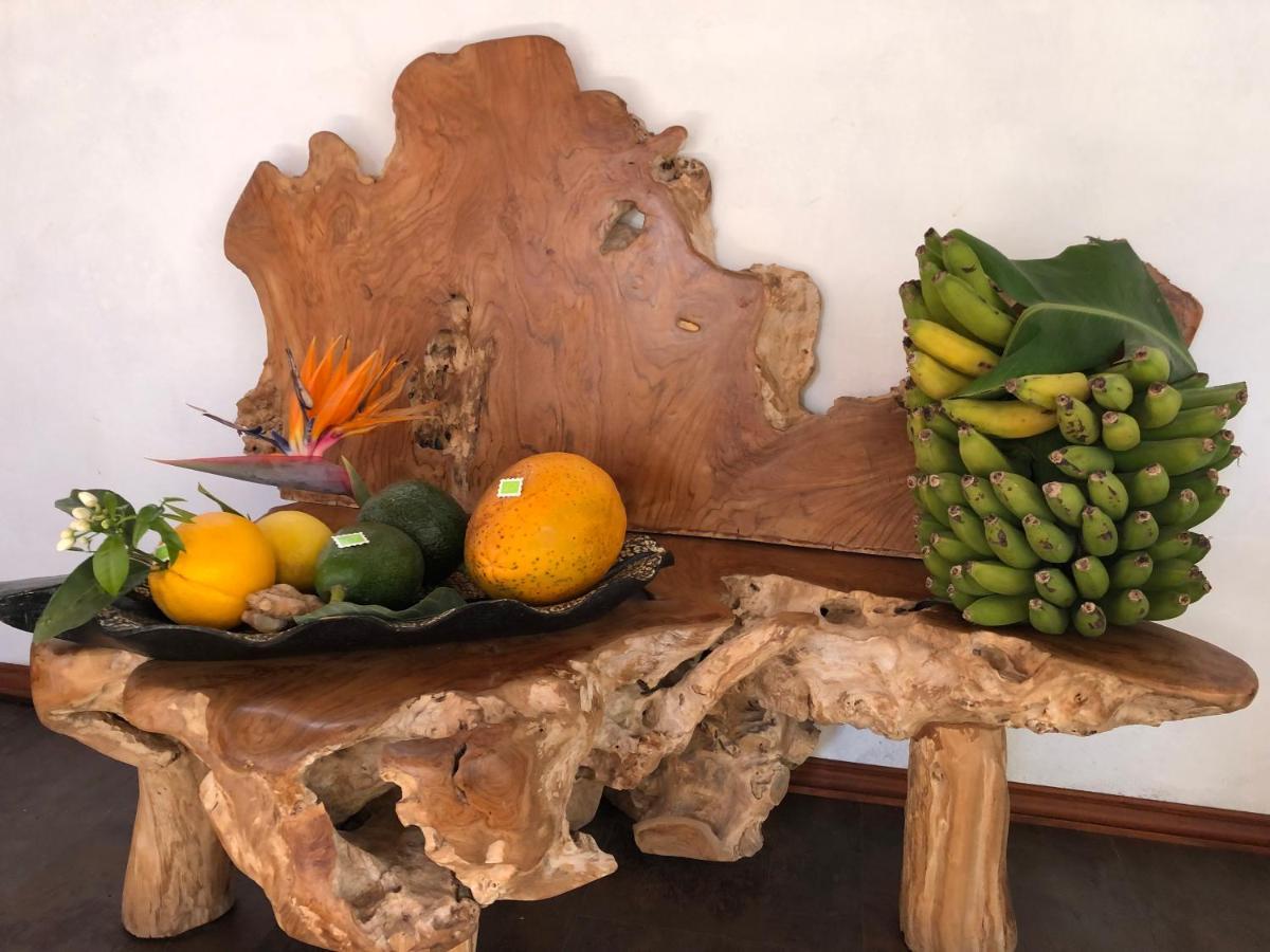 Afrikan Krisant Tenerife, Casa Rural Ecologica Arafo Exterior foto