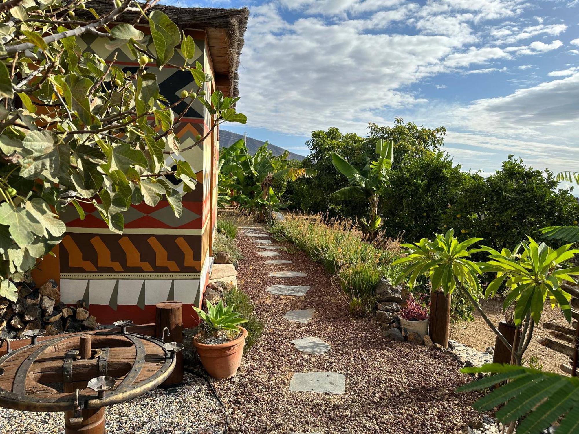 Afrikan Krisant Tenerife, Casa Rural Ecologica Arafo Exterior foto